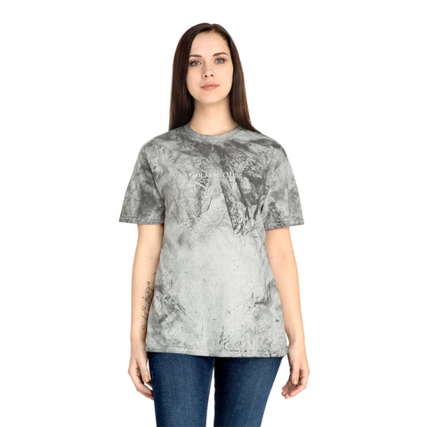 Basics Color Blast T-Shirt
